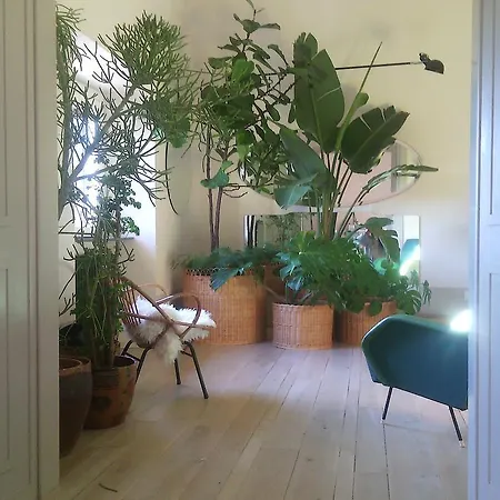 Casa Cavalcanti Отель типа 