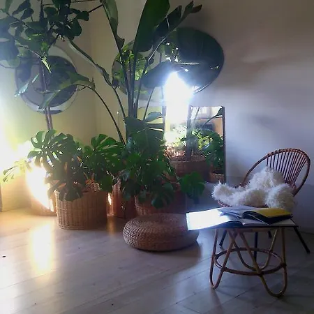 Casa Cavalcanti * Rom