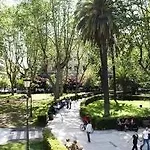 Bed & Breakfast Casa Cavalcanti *